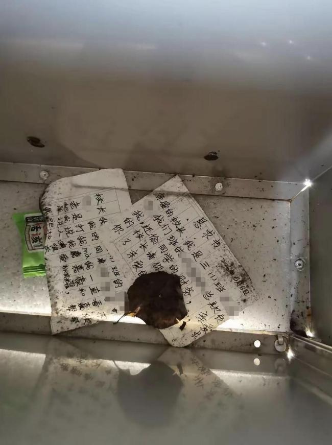 校方回应防欺凌信箱无人管