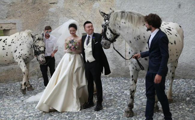 晚晚晒十年前结婚照 意外抢镜的牵马帅哥引发热议