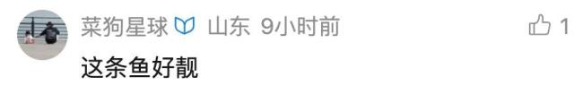 新手钓友钓2.8斤野生大黄鱼 当晚吃掉 运气爆棚羡煞网友