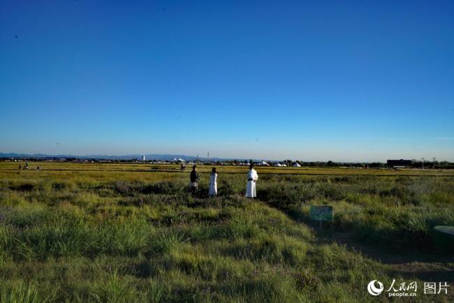 呼和浩特敕勒川草原秋色美