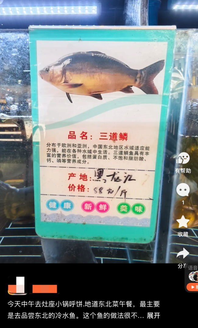 黑龙江“三道鳞”在上海身价暴涨,这种少刺肉厚的东北家常鱼,你认识吗?