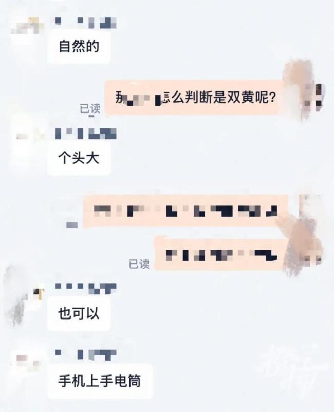 女子做饭发现三黄蛋：像中了彩票，罕见一幕引热议