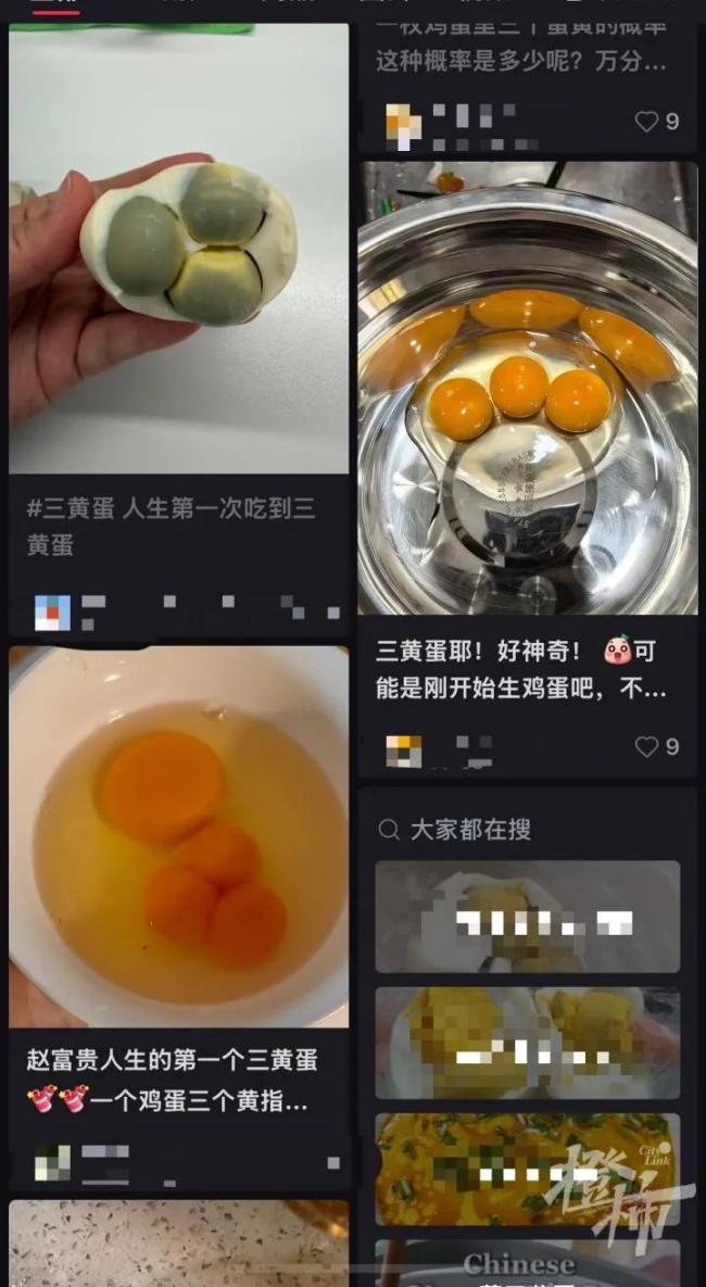 女子做饭发现三黄蛋：像中了彩票，罕见一幕引热议