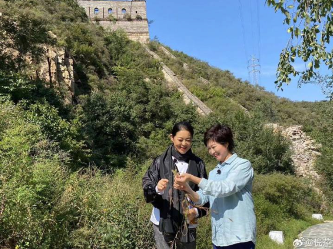 倪萍发文怀念敬一丹 深情回忆同事岁月