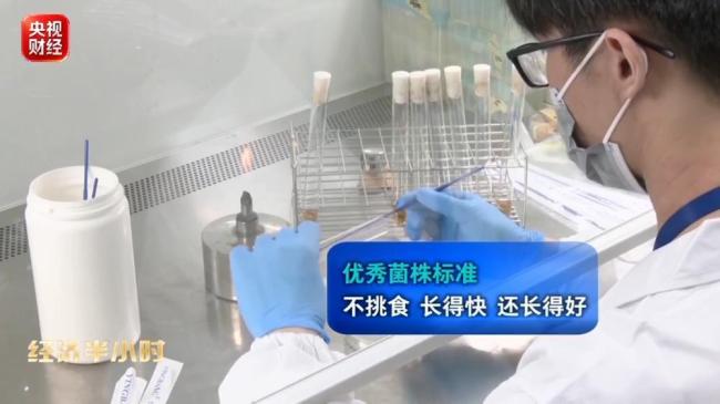 中国制造多点突围 硬核上新引领转型