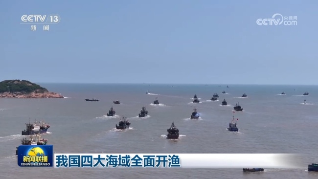 我国四大海域全面开渔
