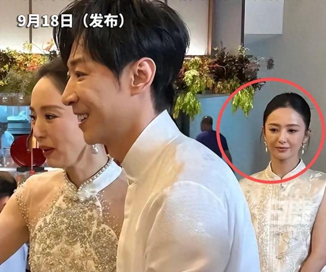 佟丽娅回应在董璇婚礼上的表情