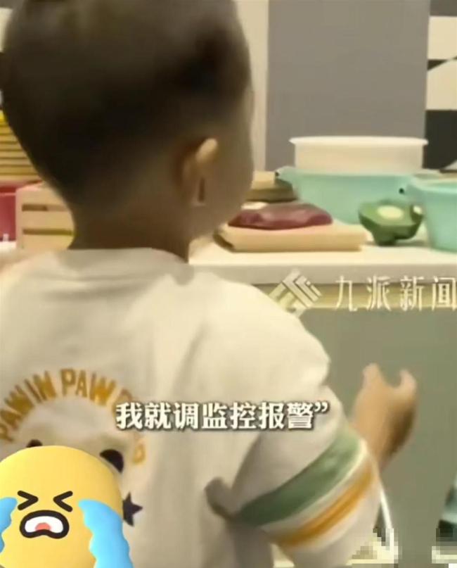 坠亡幼童母亲称孩子已安葬 父亲行为引发争议