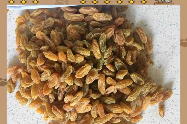 张雪摩博会现场分发饮料葡萄干 千里送甜意