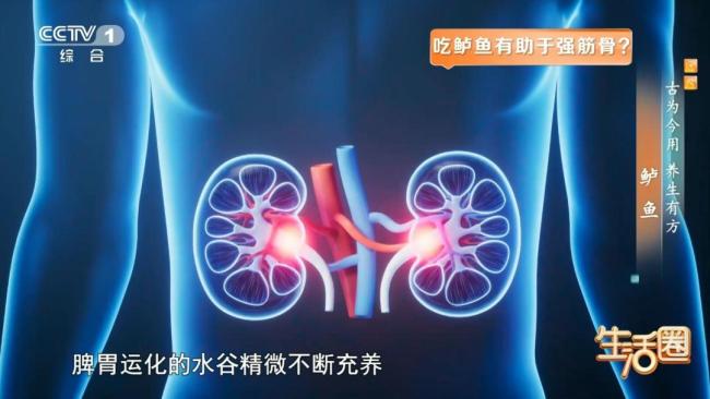 秋季吃鲈鱼有何好处 补身养心佳选