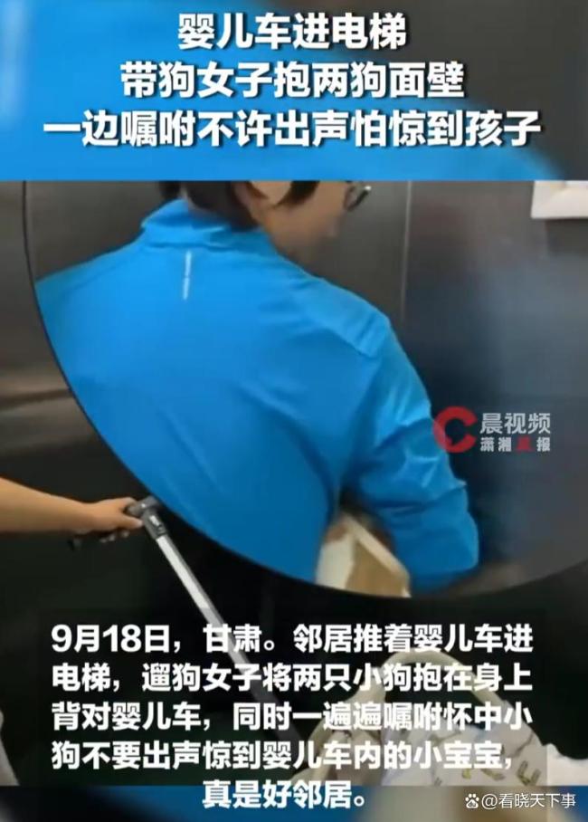 带狗女子电梯内抱两狗面壁