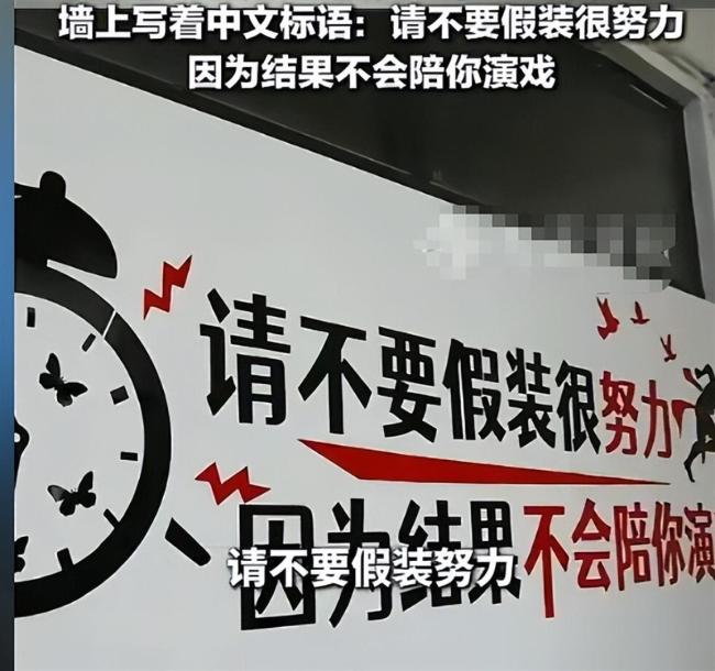 男子称因超龄被当赠品卖进电诈园区 中医技能助其改善处境