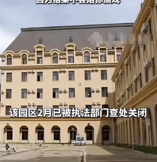 男子称因超龄被当赠品卖进电诈园区 中医技能助其改善处境
