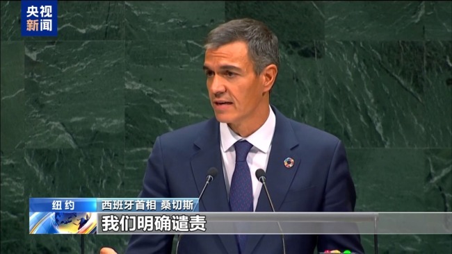 多国谴责以行径 以总理称将为以军辩护
