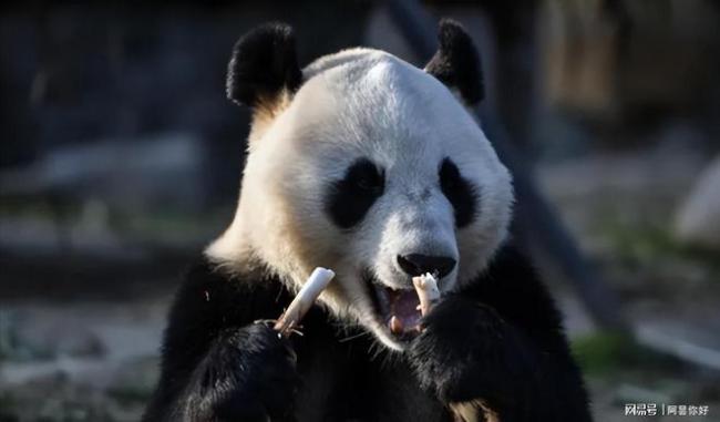 中美达成的八点共识有哪些新意 稳定框架下的相处之道