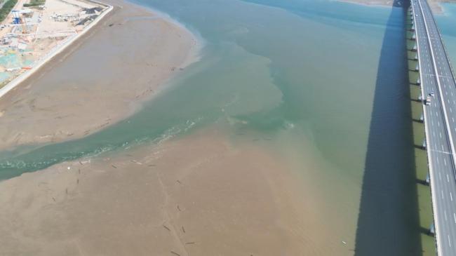 女子掉入海中民警紧急救援 海流汹涌中成功施救