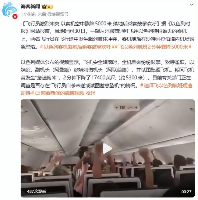 以总理还原迪拜航空客机安全事件 乘客与机组合力制服行凶者