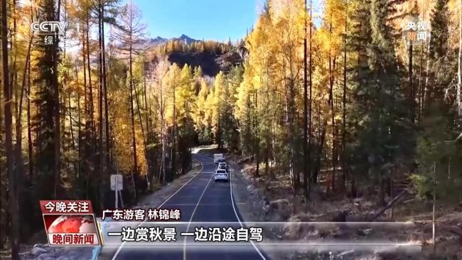 数说流动中国的假日新活力 出行脚步更从容