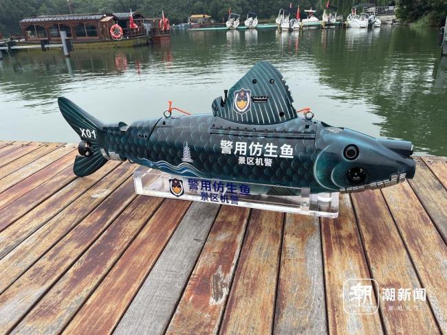 西湖仿生机器鱼正式上岗