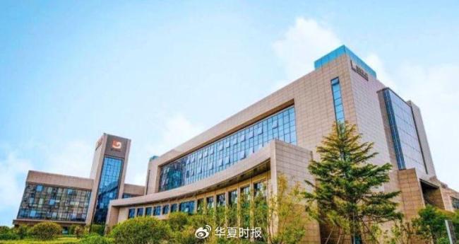 山东黄金减产能否对冲板块下行