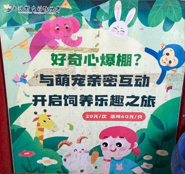 活体投喂为何总有人叫好 血腥表演引争议