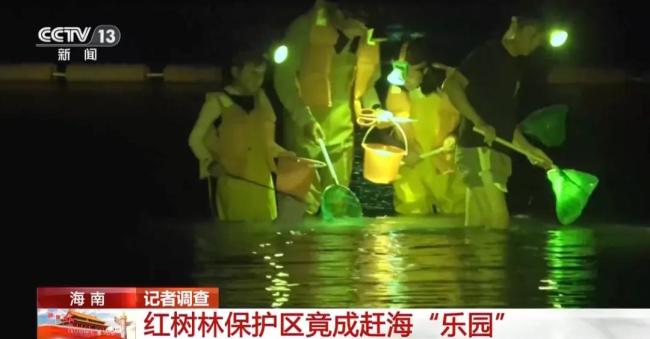 央视曝光不到两小时,三亚启动整治 迅速叫停破坏红树林项目