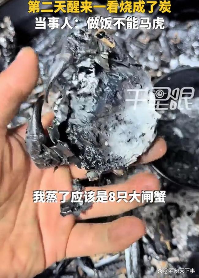 男子睡过头280元大闸蟹被蒸成炭 智能家电下的隐患警示