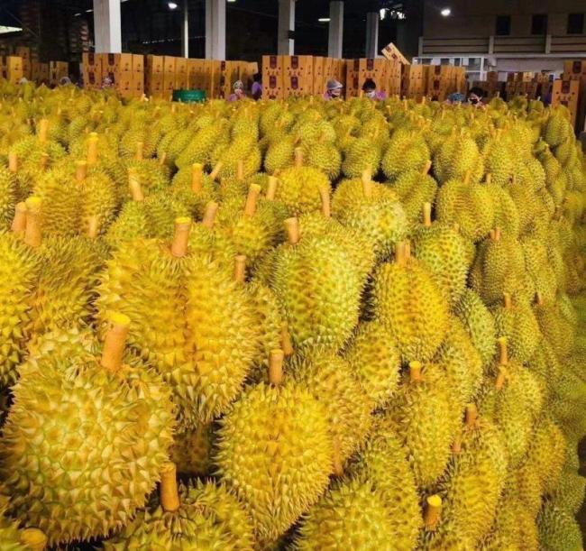 买的榴莲打开里面是橡皮泥 劣质果冒充好果