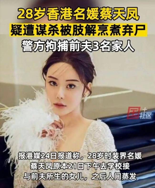 蔡天凤案疑点重重 庭审揭示惊人细节