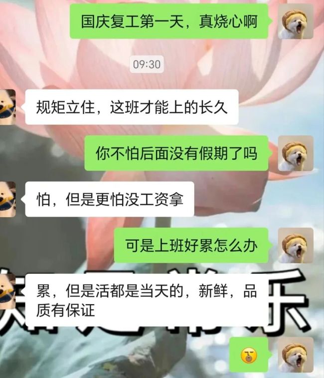 被“不烧心文学”拯救了 全网进入大烧心时代