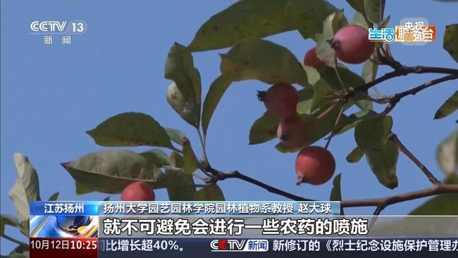 路边的海棠果能吃吗 景观果实勿采摘食用