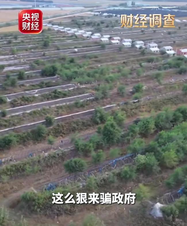 地方通报1.2亿元项目仅建5个棚