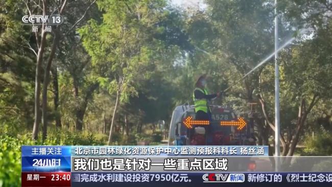 北京派出11亿头“虫虫特工队” 治理美国白蛾