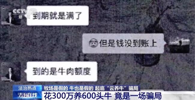 央视起底云养牛骗局 警惕高收益陷阱