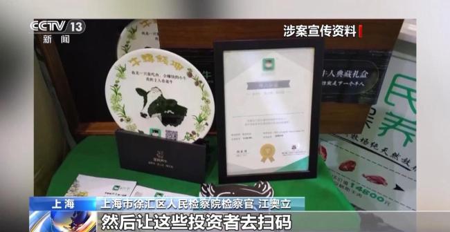 云养牛骗局已致投资者损失4000多万 警惕虚假理财陷阱