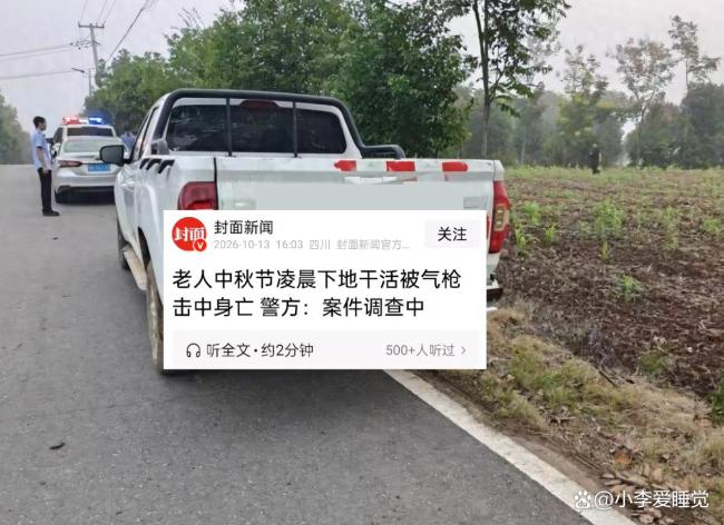 老人凌晨下地干活被气枪击中身亡