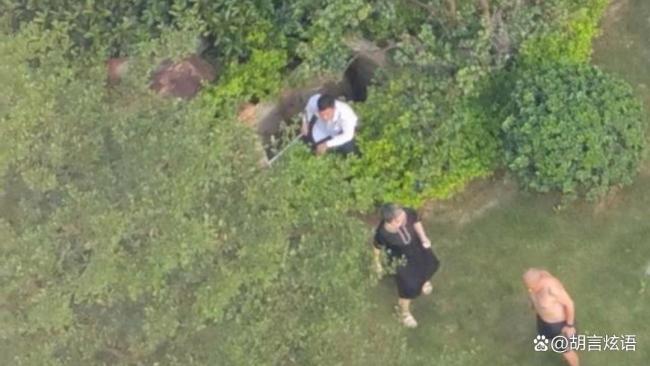 小区草坪下藏深井 女子不慎坠入身亡