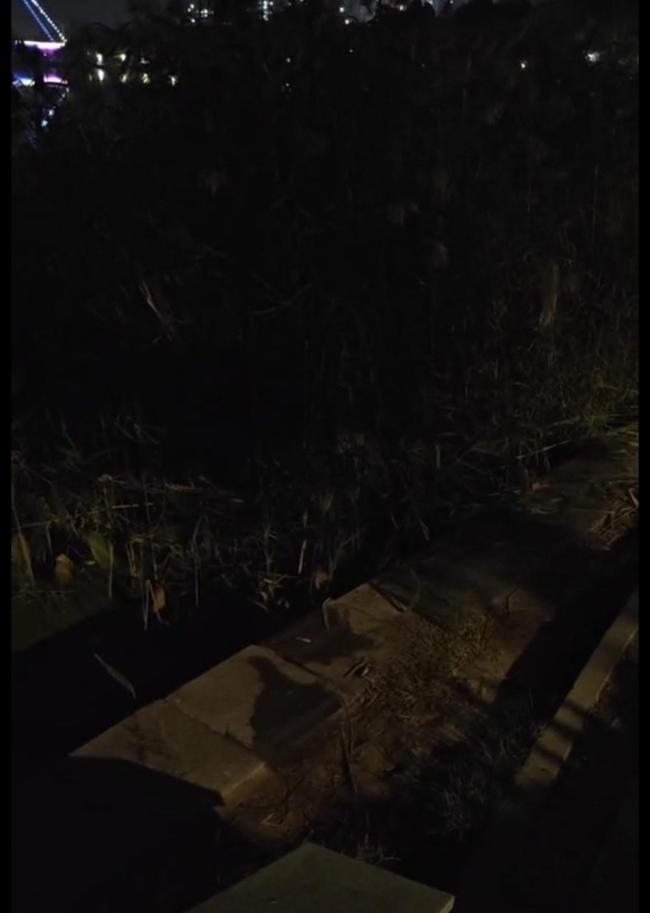 男子想要跳河物业经理劝回 夜遇险情勇救生命