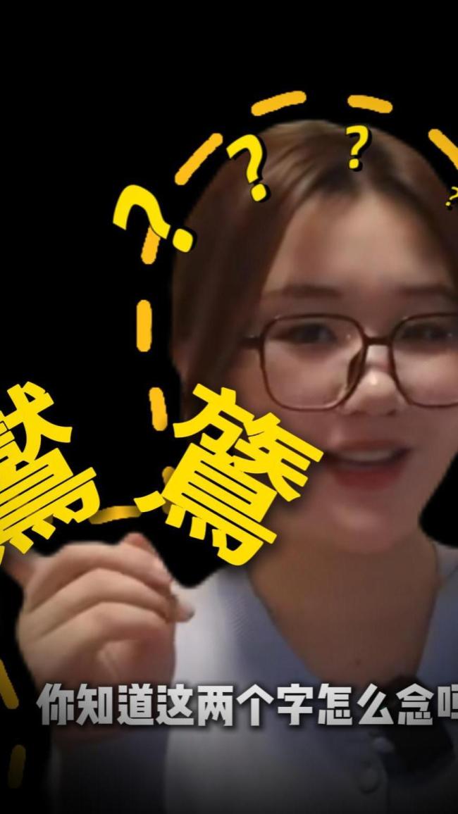 不会飞的鸟你见过吗