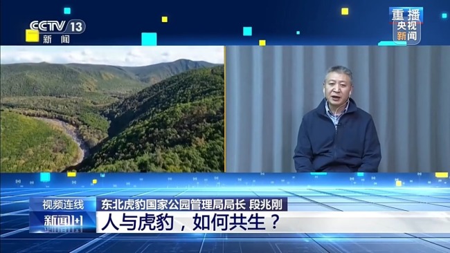 新闻1+1丨人与虎豹，如何共生？