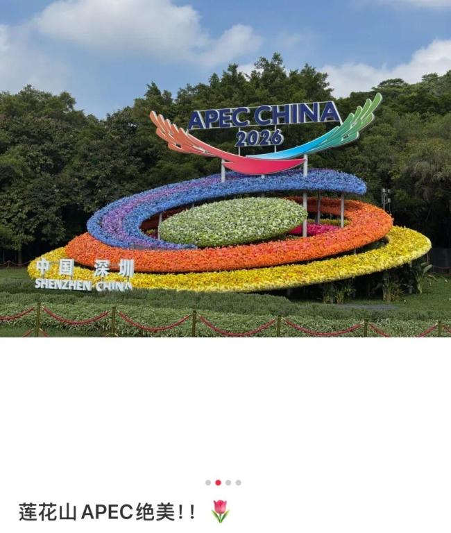 巨型APEC主题花坛亮相深圳莲花山公园 公园设施升级迎宾朋