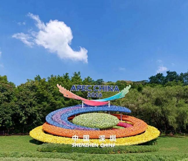 巨型APEC主题花坛亮相深圳莲花山公园 公园设施升级迎宾朋