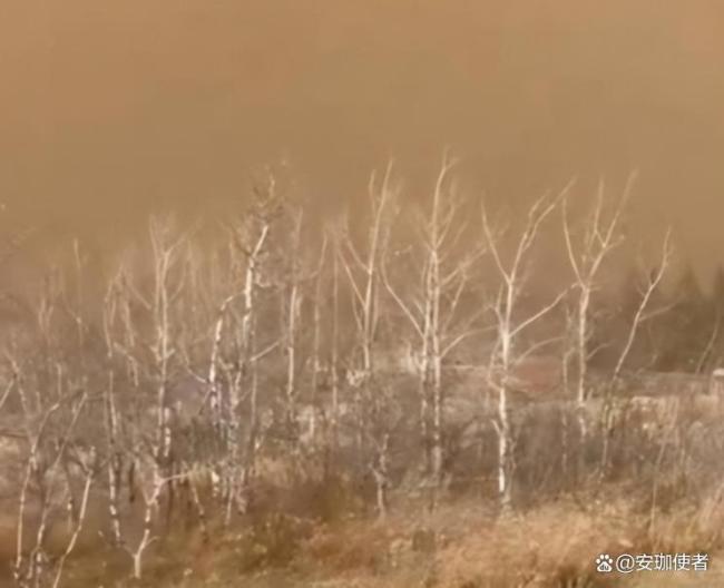 加拿大军事基地火灾事故到底怎么回事实弹演习引燃草原野火_中华网(图9)