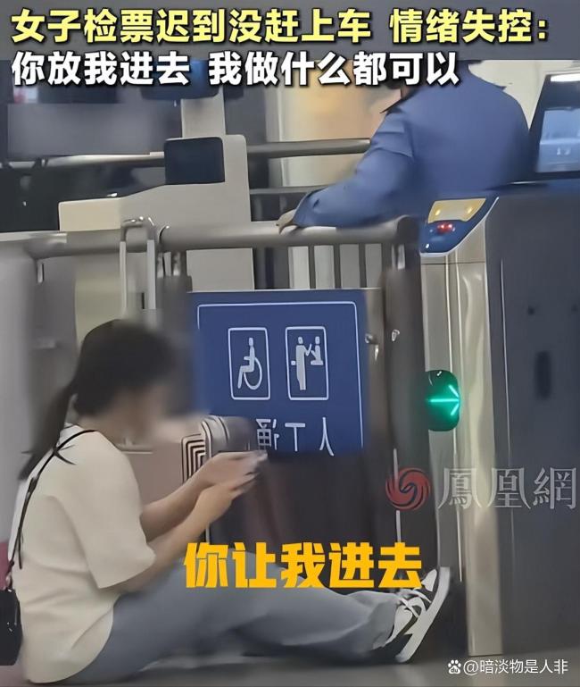 12306回应女子迟到错过检票失控哀求 规则与同情的两难选择