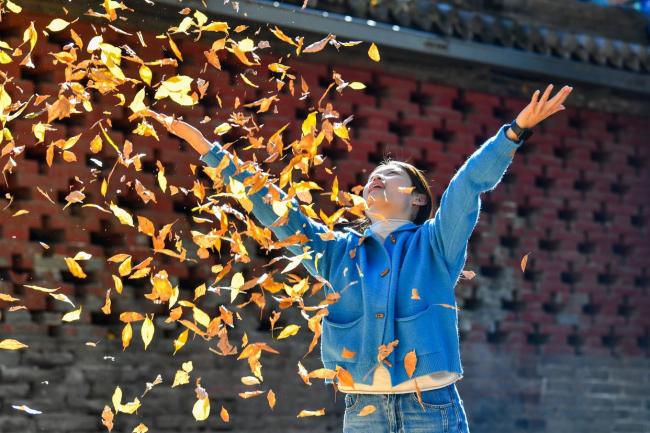 “声动”二十四节气·霜降 秋色浓情