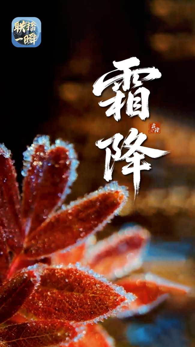 霜降：好“柿”成“霜”