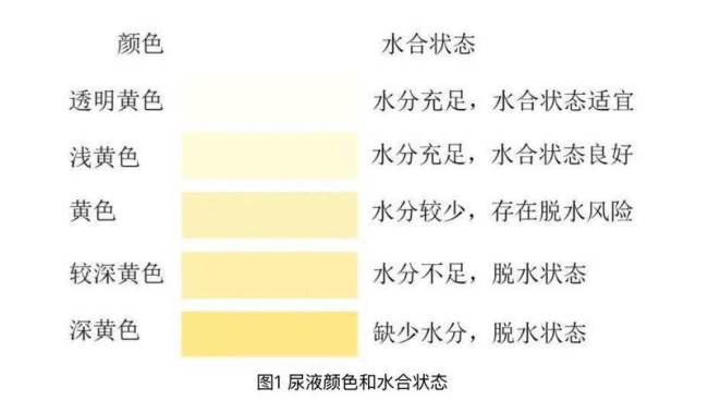 跟风“喝大水”谨防“水中毒” 科学饮水听身体