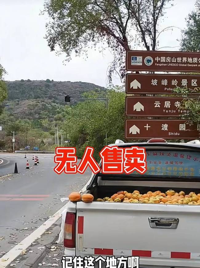 无人售卖方式卖柿子钱货均未丢失