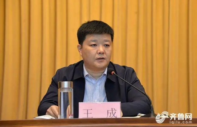 翟家镇人口_人口普查(3)