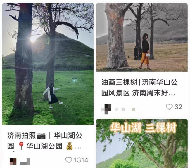 济南华山“三棵树”成网红拍照地，有网友发现神似一幅名画……